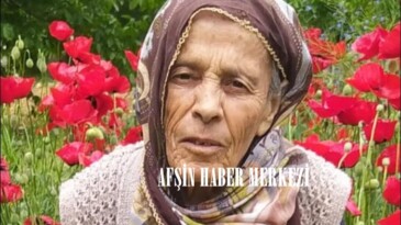 MELEK BERK VEFAT ETTİ.