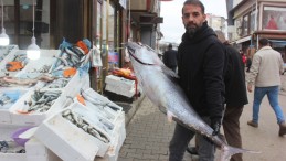Afşin’e getirilen Dev Orkinos Balığı büyük ilgi gördü.