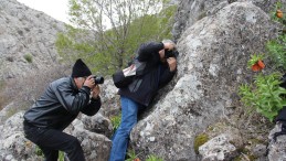 AFŞİN TERS LALELERİ, FOTOĞRAF SANATÇILARININ UĞRAK YERİ OLMAYA DEVAM EDİYOR.