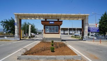 Hayvan Borsası’nda Hazırlıklar Tamamlandı.