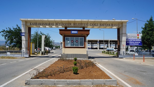 Hayvan Borsası’nda Hazırlıklar Tamamlandı.