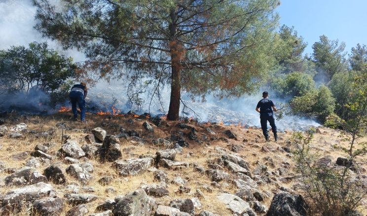 Kahramanmaraş Jandarması Yangına neden olanlara geçit vermiyor!