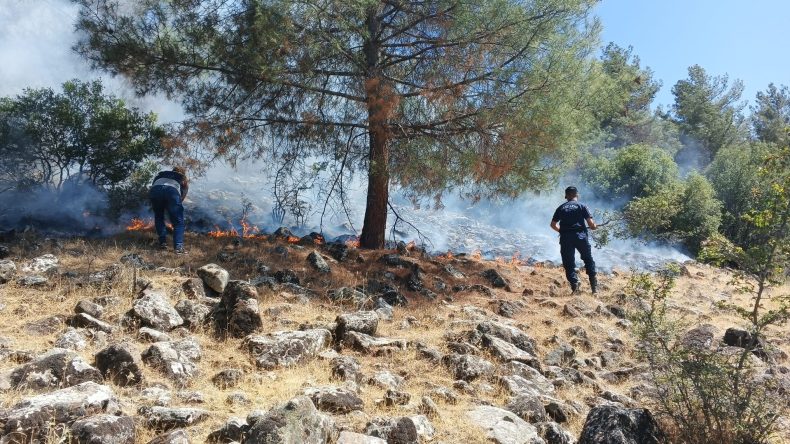 Kahramanmaraş Jandarması Yangına neden olanlara geçit vermiyor!