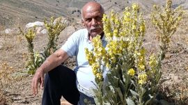 Mehmet Ekici vefat etti.