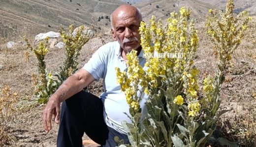 Mehmet Ekici vefat etti.