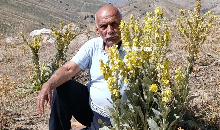Mehmet Ekici vefat etti.