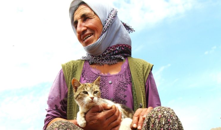 KEDİ DOSTU KADIN…