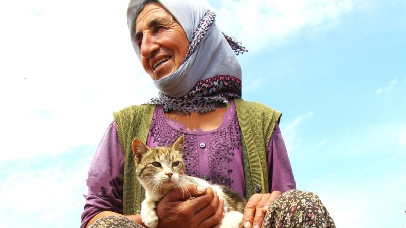 KEDİ DOSTU KADIN…