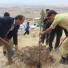 Afşin’de Milli Ağaçlandırma Gününde Fidanlar toprakla buluşturuldu.