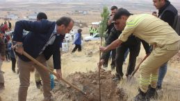 Afşin’de Milli Ağaçlandırma Gününde Fidanlar toprakla buluşturuldu.