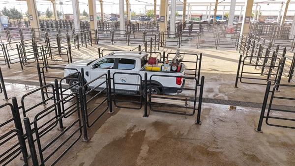 Büyükşehir’den Canlı Hayvan Pazarı’nda Halk Sağlığı İçin Kapsamlı Çalışma.