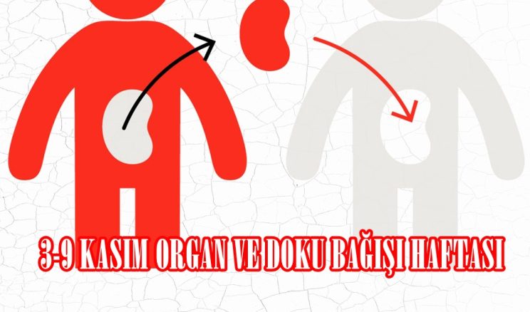 3-9 KASIM ORGAN VE DOKU BAĞIŞI HAFTASI