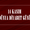 14 KASIM DÜNYA DİYABET GÜNÜ