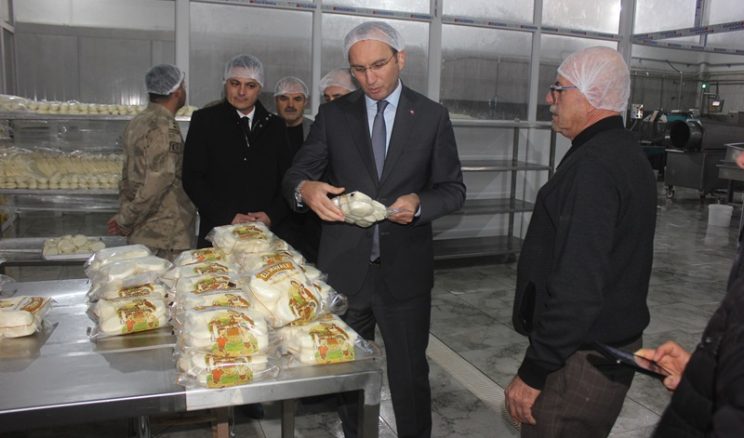 Afşin Markası ELİ MAYALI Peynir, hem ekonomiye hem istihdama katkı sunuyor.