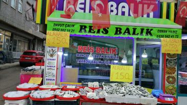 Memleketin Balıkçısı çıldırdı!!! Afşin’de Alabalık 150 Tl.