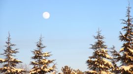 Afşin’den “Kış” Manzaraları.