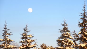 Afşin’den “Kış” Manzaraları.