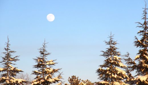 Afşin’den “Kış” Manzaraları.