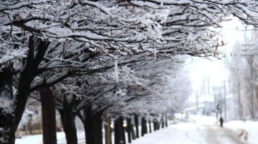 Afşin Beyaz üzerine Beyaza büründü.