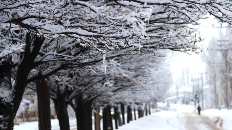 Afşin Beyaz üzerine Beyaza büründü.