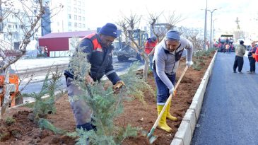 Büyükşehir’den Şehrin Kalbinde Yoğun Çalışma.