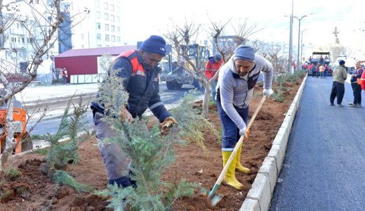 Büyükşehir’den Şehrin Kalbinde Yoğun Çalışma.