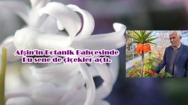 Afşin’in Botanik Bahçesinde bu sene de çiçekler açtı.