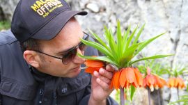 Kaymakam Sarıdoğan, “Ters Laleler bulundukları yerde güzeldir,koparılması yasaktır”