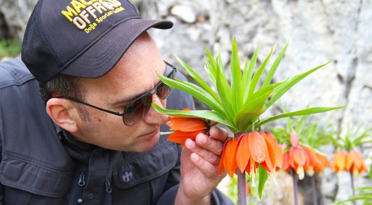 Kaymakam Sarıdoğan, “Ters Laleler bulundukları yerde güzeldir,koparılması yasaktır”