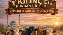 Afşin Kılınç Et ve Kurban Çiftliğinde Kurbanlık satışları devam ediyor.