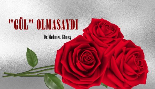 “GÜL” OLMASAYDI