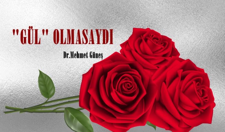 “GÜL” OLMASAYDI