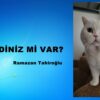 KEDİNİZ Mİ VAR?