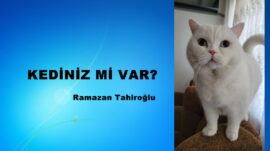 KEDİNİZ Mİ VAR?