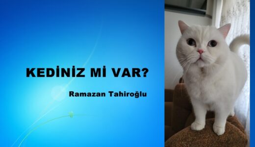 KEDİNİZ Mİ VAR?