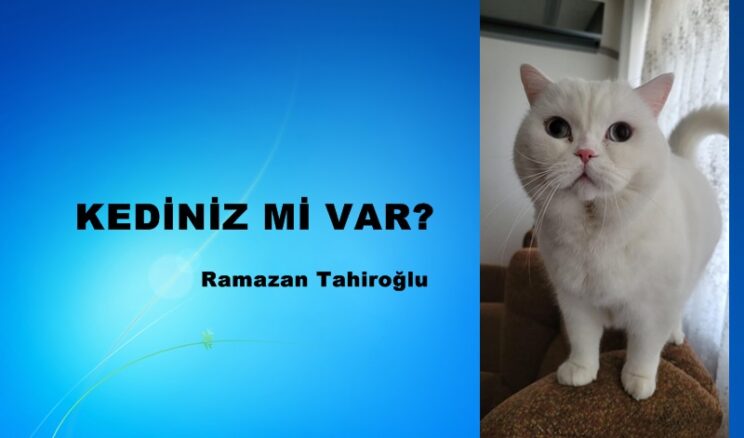 KEDİNİZ Mİ VAR?