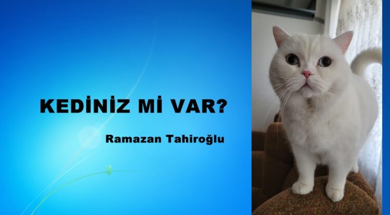 KEDİNİZ Mİ VAR?