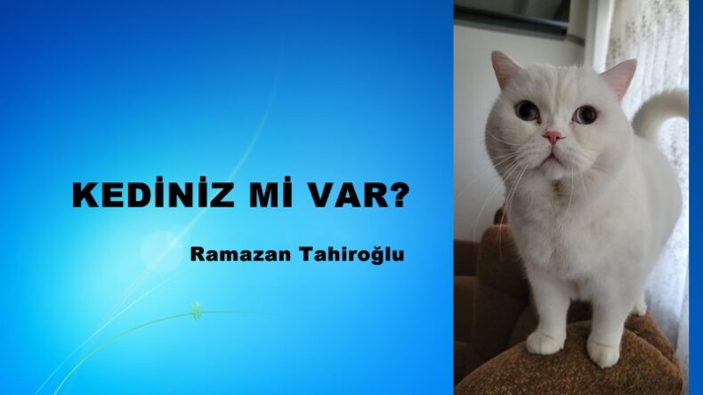 KEDİNİZ Mİ VAR?