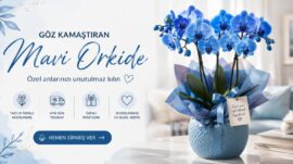 Mavi Orkide: Sıra Dışı Rengiyle Unutulmayan Bir Hediye!