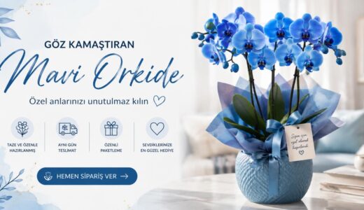 Mavi Orkide: Sıra Dışı Rengiyle Unutulmayan Bir Hediye!
