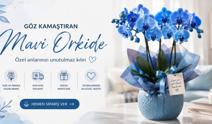 Mavi Orkide: Sıra Dışı Rengiyle Unutulmayan Bir Hediye!