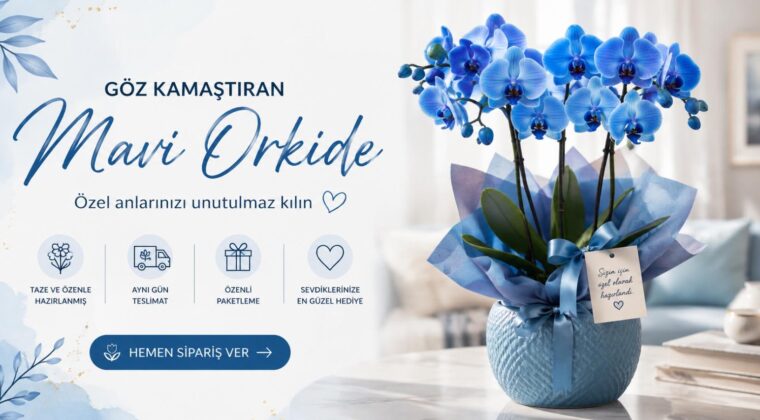 Mavi Orkide: Sıra Dışı Rengiyle Unutulmayan Bir Hediye!