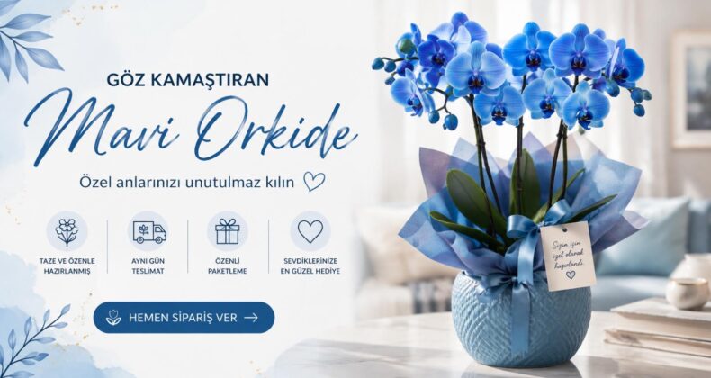 Mavi Orkide: Sıra Dışı Rengiyle Unutulmayan Bir Hediye!
