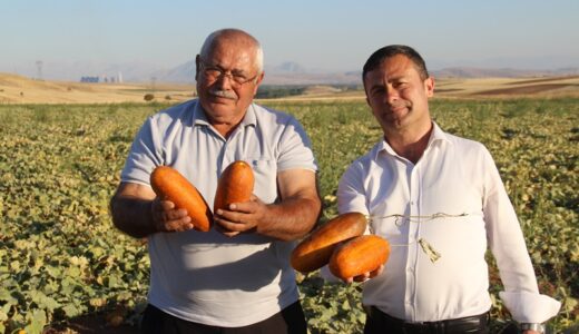 Nihat Arslantaş, Afşin’de Bölgenin en büyük Tohum Tedarik Merkezini oluşturdu.