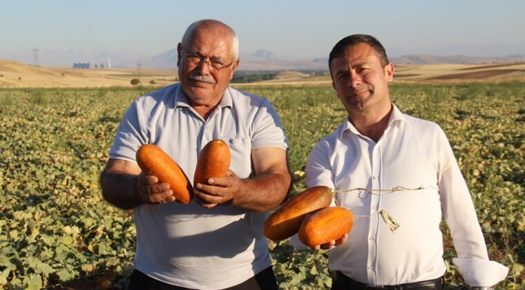 Nihat Arslantaş, Afşin’de Bölgenin en büyük Tohum Tedarik Merkezini oluşturdu.