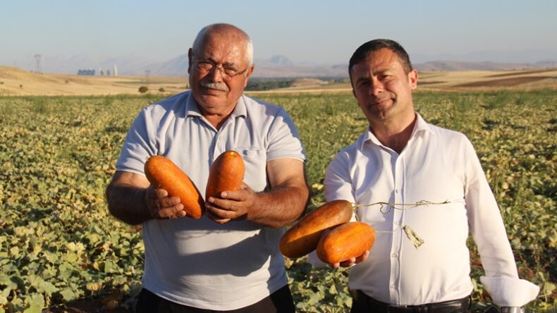 Nihat Arslantaş, Afşin’de Bölgenin en büyük Tohum Tedarik Merkezini oluşturdu.