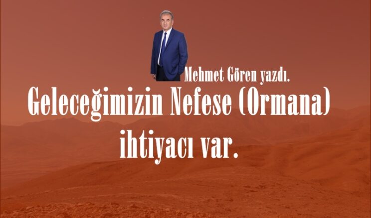 Geleceğimizin Nefese (Ormana) ihtiyacı var.
