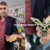 Afşin’de Kamuflaj Desenli Mekik Kelebeği görüldü.